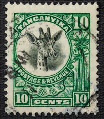 Tanganyika - circa 1922 1925: A stamp printed in Tanganyika shows the head of a giraffe, circa 1922...