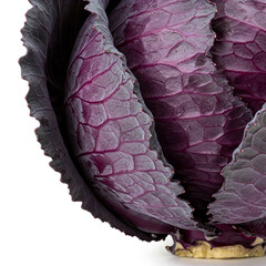 Fototapeta premium Close-up of purple cabbage leaf texture, showing intricate veining and color variations, showcasing natural beauty and organic patterns, ideal for food or nature themes