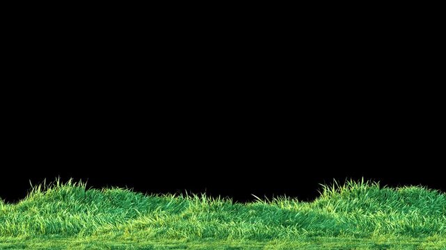 Looped animation of grass gently swaying in the wind on a transparent background, evoking peaceful, natural movement for outdoor scenes.