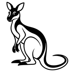 kangaroo vector illustration