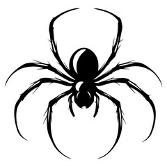 Vector illustration of spider isolated on white background.