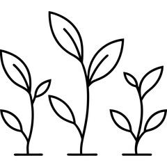  Young plants sprouting  line art illustration