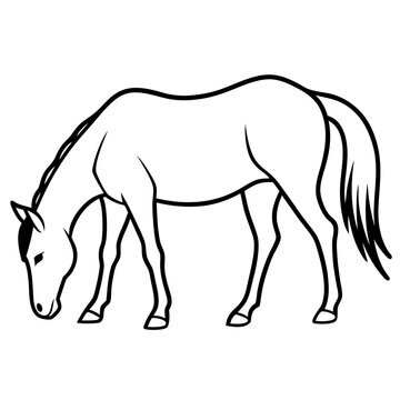 black and white horse grazing clip art preview