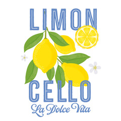 Lemons with leaves Illustration. Lemon plant. Template for cards, menus, flyers, posters. Vector hand drawn illustration.