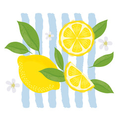 Lemons with leaves Illustration. Lemon plant. Template for cards, menus, flyers, posters. Vector hand drawn illustration.