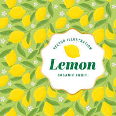 Lemons with leaves Illustration. Lemon plant. Template for cards, menus, flyers, posters. Vector hand drawn illustration.