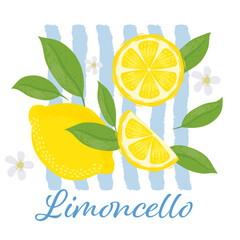 Lemons with leaves Illustration. Lemon plant. Template for cards, menus, flyers, posters. Vector hand drawn illustration.