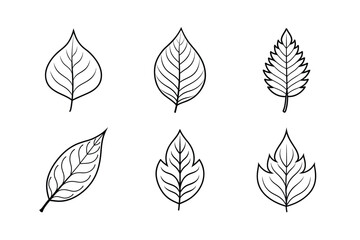 Vector set of leaf icons showcases a seamless floral pattern, an artistic nature illustration for spring or autumn design