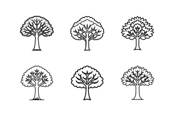 mahogany tree line art vector illustration