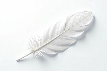 A single, perfect white feather against stark white backdrop, minimalist, freedom, delicate