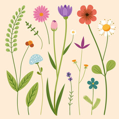 Wildflower and Meadow Flora with Stem Vector Set 