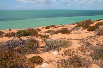 indian ocean at the françois péron national park at shark bay in australia 