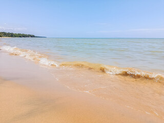 Peaceful Tropical Beach with Clear Blue Sky and Calm Sea