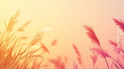 Sunlit reed grasses on an abstract orange gradient background, peaceful scenic view