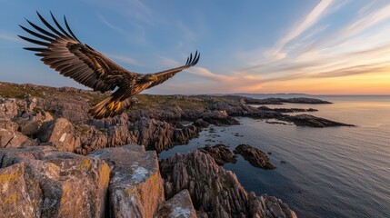 Fototapeta premium Majestic Eagle Soaring Over Rocky Coastline During Sunset Sky