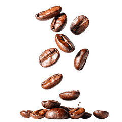 Obraz premium Floating Roasted Coffee Beans Falling from Above on a Transparent Background