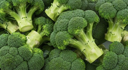 Fresh Green Broccoli Heads with Tightly Clustered Florets