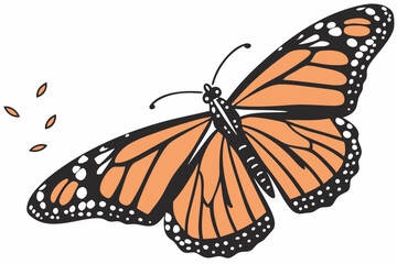 butterfly on a flower