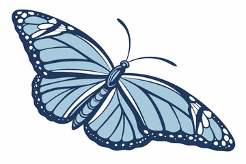 butterfly isolated on white