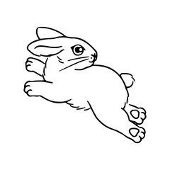 cute rabbit drawing
