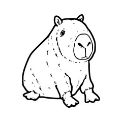 capybara animal drawing