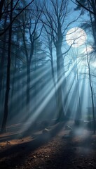 Silver moonbeams dapple a tranquil forest floor, mist hangs softly, wildlife, high resolution