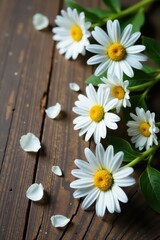 Fototapeta premium Delicate white daisies scattered on rustic wood , art, image, detail