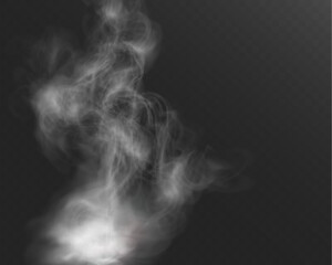 Realistic white smoke or mist effect with soft, swirling patterns on a transparent background. Perfect for overlays and atmospheric designs.
