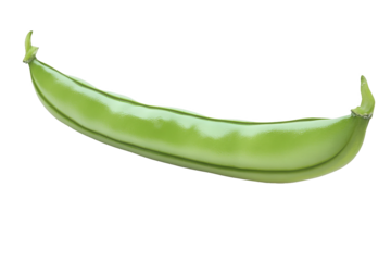 Fresh Green Pea Pod with white background