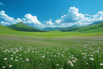 Obraz premium Photorealistic Green Grassy Field with Rolling Hills Under Blue Sky and White Clouds – High-Resolution HD Landscape Illustration, Serene Nature Scene