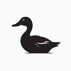 Black duck isolated on white background with feathers and beak, showcasing wildlife and nature in a simple, clean illustration