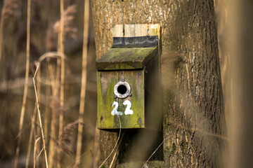 A numbered nesting box in a nature reserve in Suffolk, UK