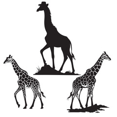 set of vector icon GIRAFFE , HEAD, LEG, FACE, silhouette	

