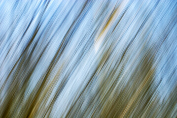 The vertical stripes in shades of blue and gold create a dynamic sense of movement, resembling a blurred landscape or an abstract interpretation of a forest.Mix of colors and lines creates a sense.
