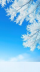 Frosted Tree Branches Glowing Under Bright Blue Sky with Winter Vibes and Scenic Beauty