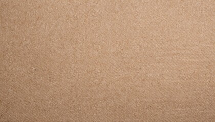 high detail carton background and texture brown paper sheet beige recycled eco carton paper or cardboard background