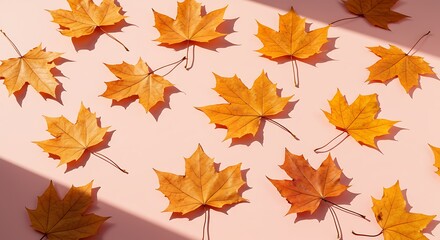 Fototapeta premium Autumn Leaves Flatlay: Orange Maple Leaves on Pink Background AI Generated