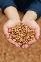 Honey Coffee from Colombia: A Golden Treasure in Your Hands
