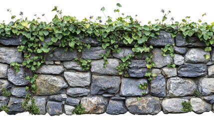 stone wall with green ivy growing on top creates natural, rustic look
