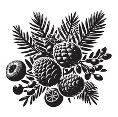 Evergreen fruit  Silhouettes vector illustration a white background.