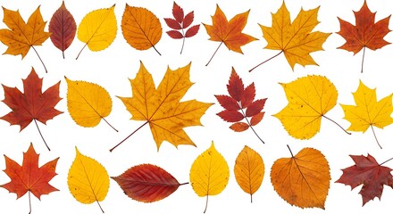 Obraz premium Autumn's Golden Hues AI Generated