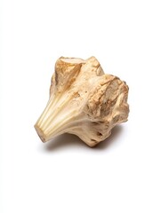 Close up view of a single, pale beige root vegetable with irregular texture and dark speckles, set against a bright white background.