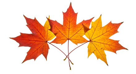 Obraz premium Autumn's Embrace AI Generated