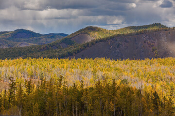 Autumn in the mountains of inner Mongolia province in China; boreal forest with Larch and Birch...