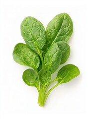 Fototapeta premium Fresh green spinach leaves on white background. Close up view of vibrant, healthy spinach.