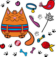 Pets toys items and accessories. Vector illustration. Set items for cats