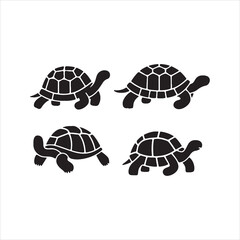 turtle vector illustration