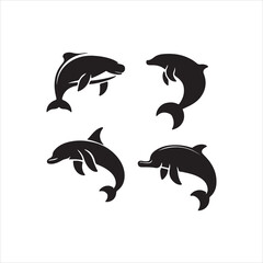 set of dolphins