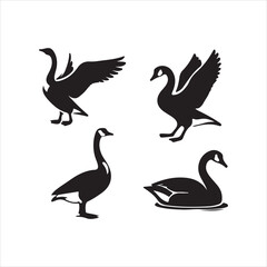 duck set of silhouettes of birds