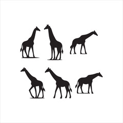 silhouette of Giraffe